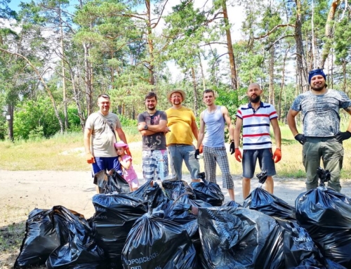 Прибирання в лісі